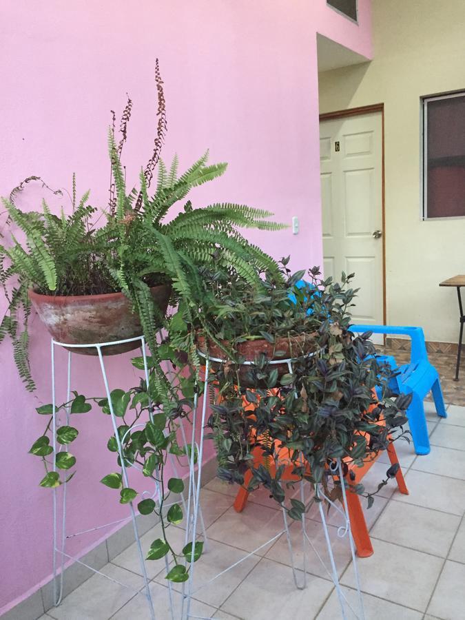 Casa Mokoron Apartment Managua Bagian luar foto
